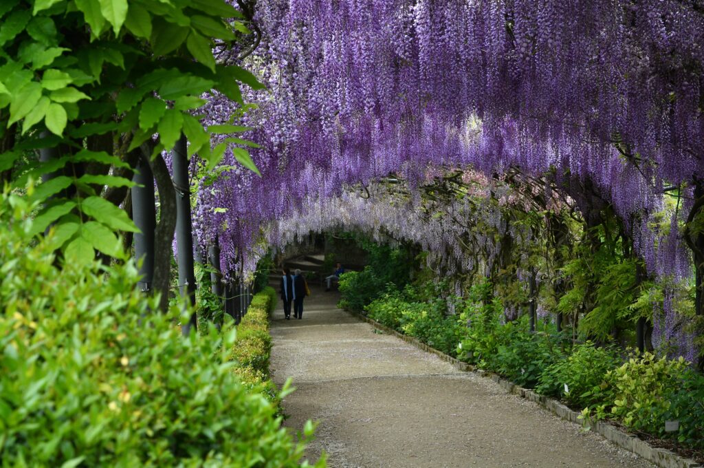 Giardino Bardini